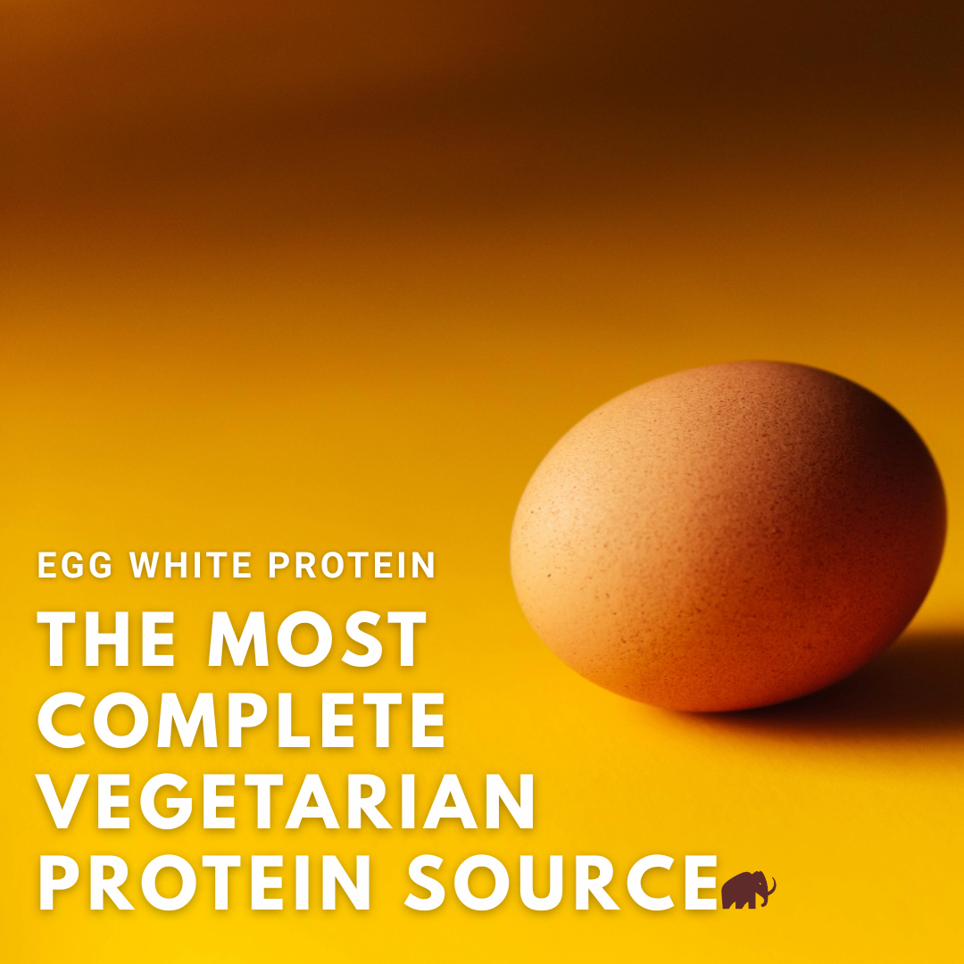 Why Egg White Protein is the Most Complete Vegetarian Protein Source
