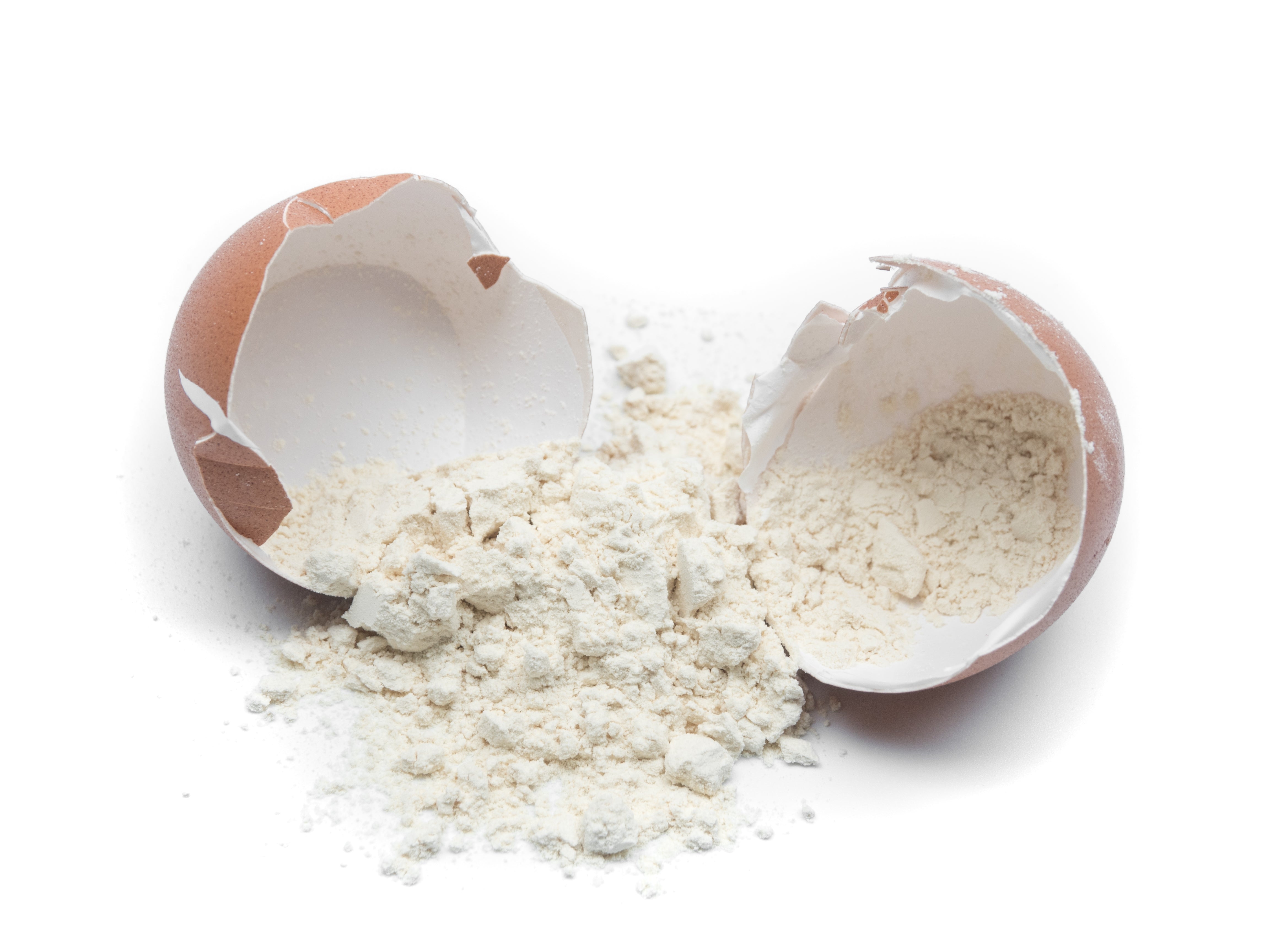 Everything you need to know about egg white protein powder