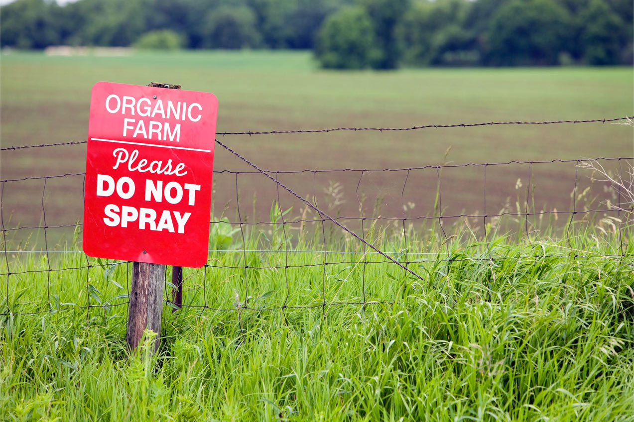 Why to Organically Care about “Organic”
